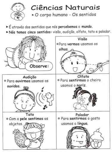 Explorando Os Sentidos Exercícios Práticos Para Alunos Do 5º Ano Body Sat 1992