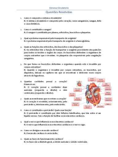 Guia De Exercícios Resolvidos Do Sistema Circulatório Em Formato PDF ...